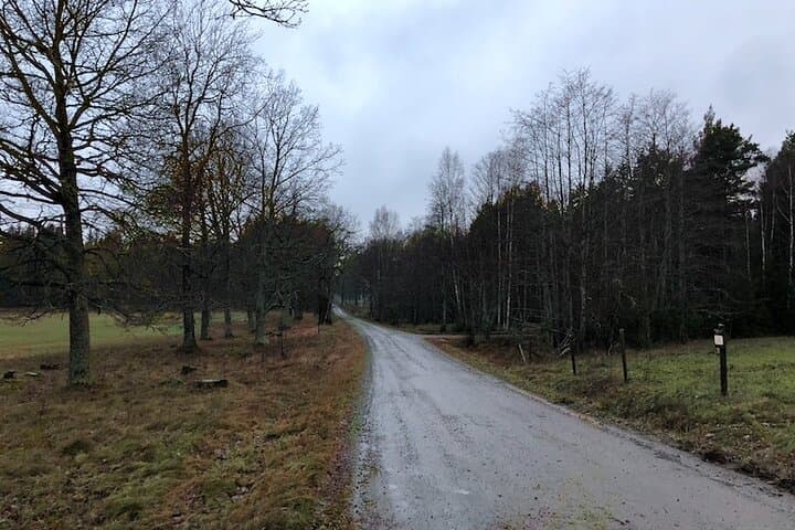 Stockholm Hiking Tour: Explore Hellasgården & Forest Trails