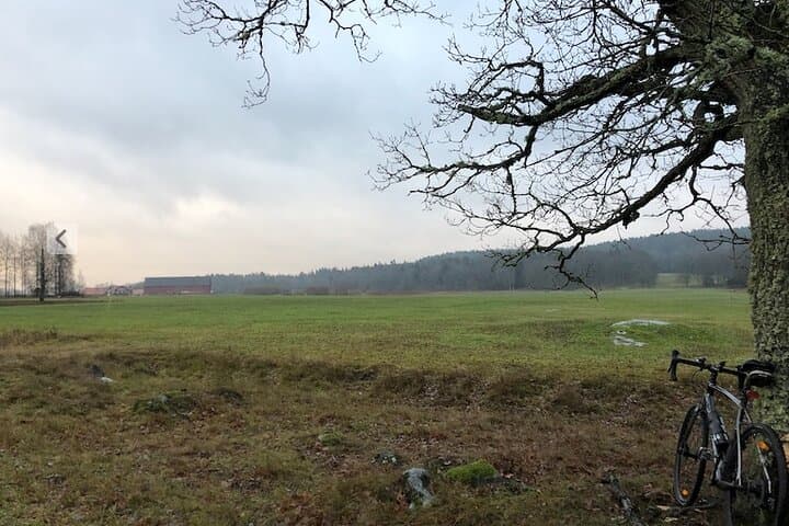 Stockholm Hiking Tour: Explore Hellasgården & Forest Trails