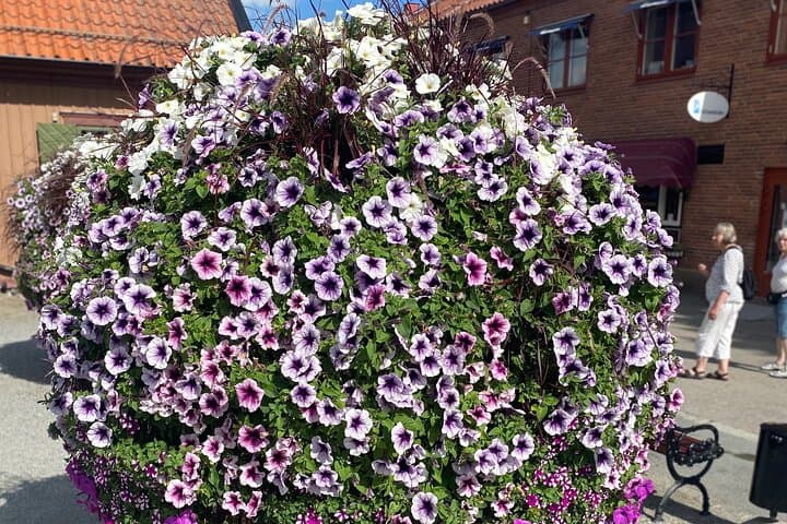 City Flowers