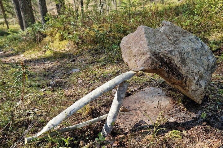 Discover the Kiruna Wilderness: A Guided Forest Walk