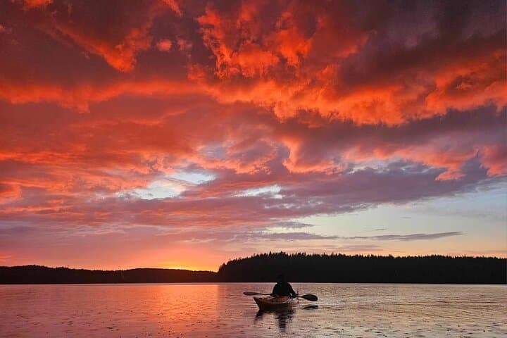 Sunset kayak tour with fika on Stockholms lakeside