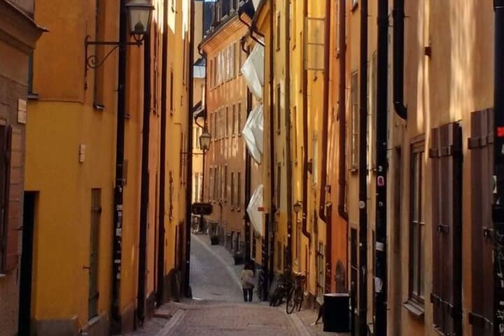Gamla Stan Walking Tour (with optional Swedish Fika)