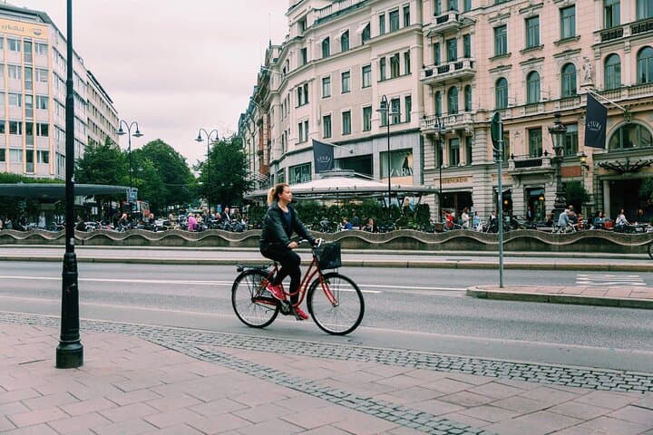 Stockholm City Private Walking Tour