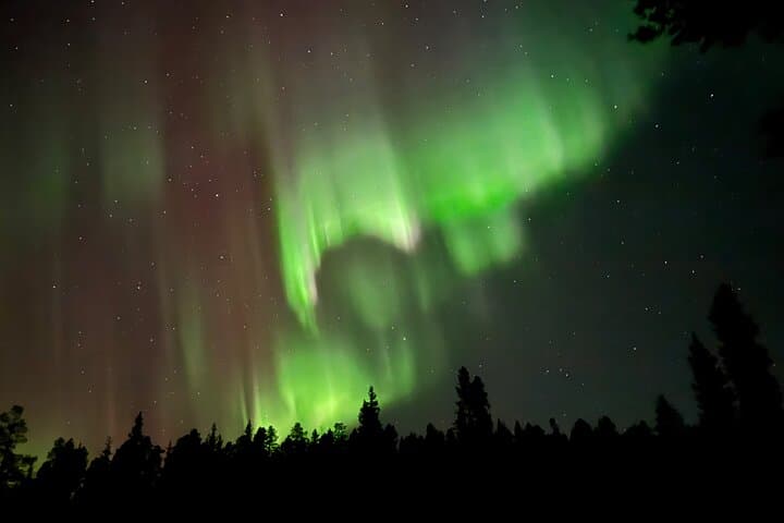 Husky Sled Ride Northern Lights Tour from Kiruna