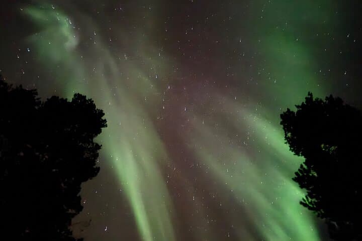 Husky Sled Ride Northern Lights Tour from Kiruna