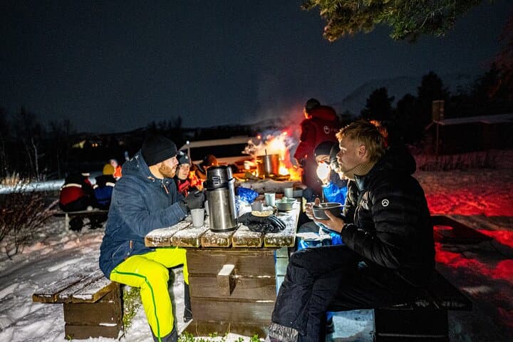 Northern Lights Tour to Abisko