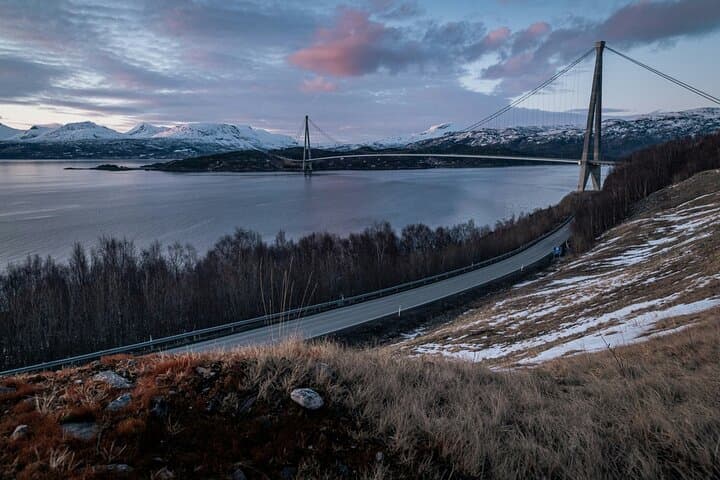 From Kiruna: Narvik City and Fjord Day Trip