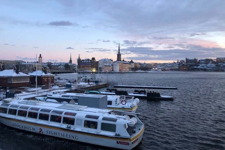 Private Stockholm City Tour