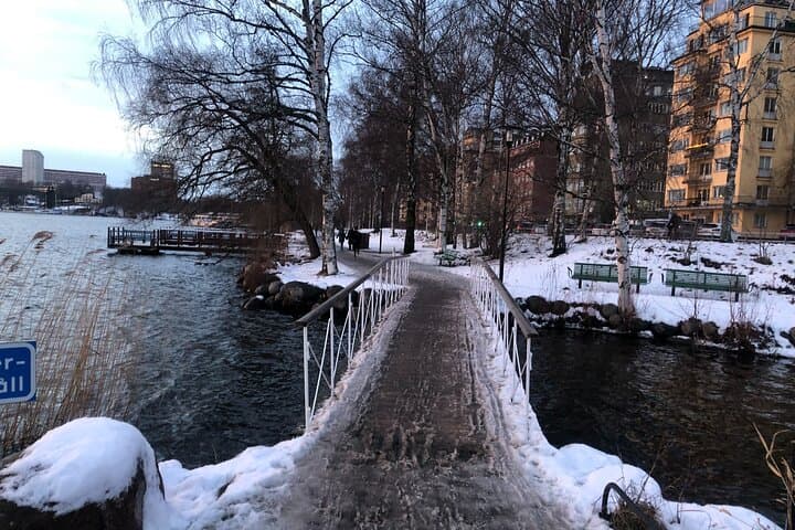 Private Stockholm City Tour