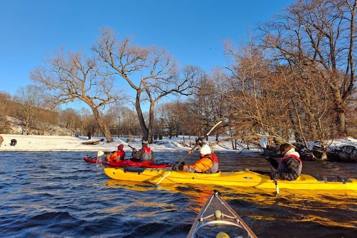 Winter Kayak Tour in Stockholm City (Dry Suit Kayaking)
