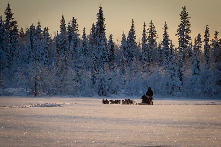 Peace, love & Huskies