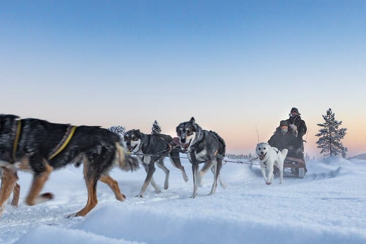 Amazing Kiruna Experience