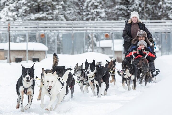 Exhilarating Kiruna Dogsledding