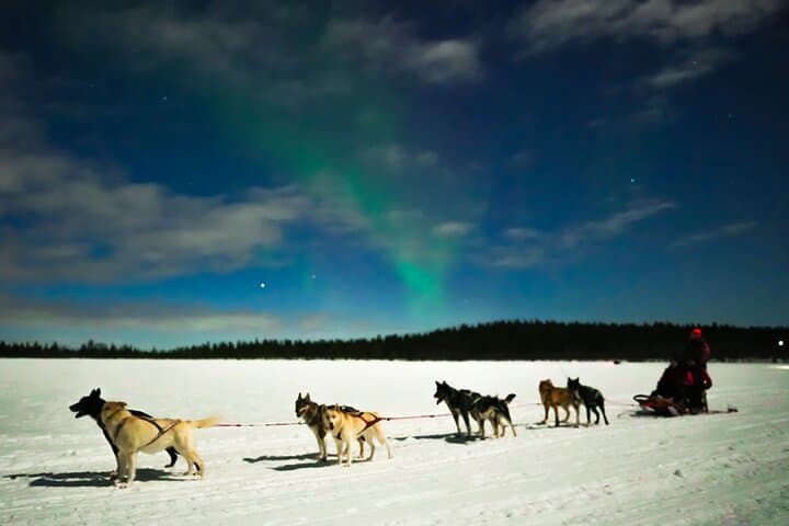 Aurora Borealis Dogsled Tour