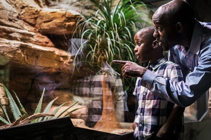 Gothenburg Universeum Ticket - Aquarium, Science, Wildlife, Zoo
