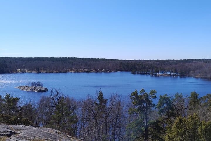 Stockholm Hiking Tour: Explore Hellasgården & Forest Trails