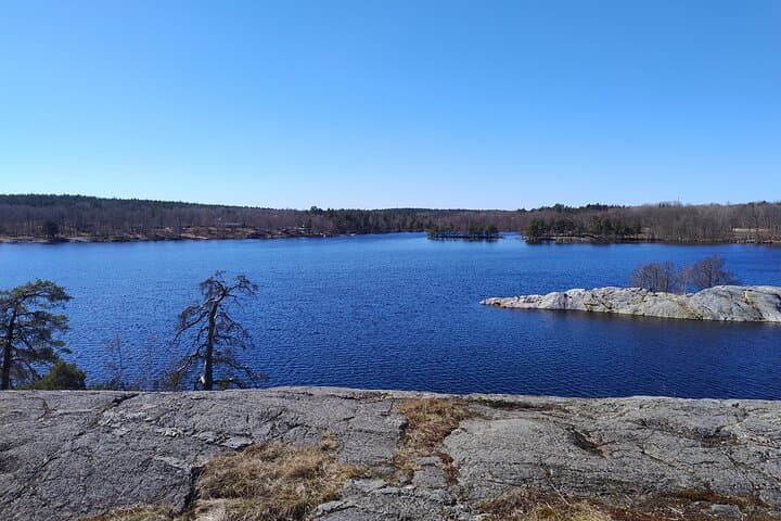 Stockholm Hiking Tour: Explore Hellasgården & Forest Trails