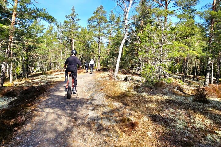 Stockholm Fat Bike Forest Adventure with Lunch and Sauna