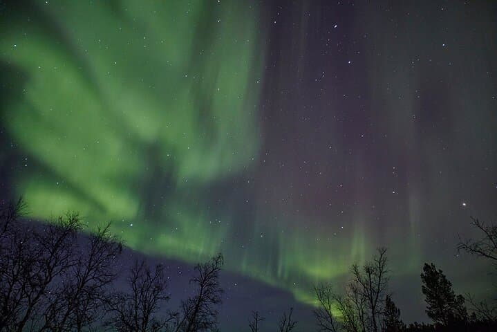Aurora Tour with Dinner in Abisko