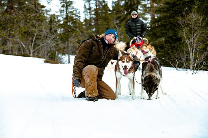 Overnight Tour with Dogsledding in Sälen
