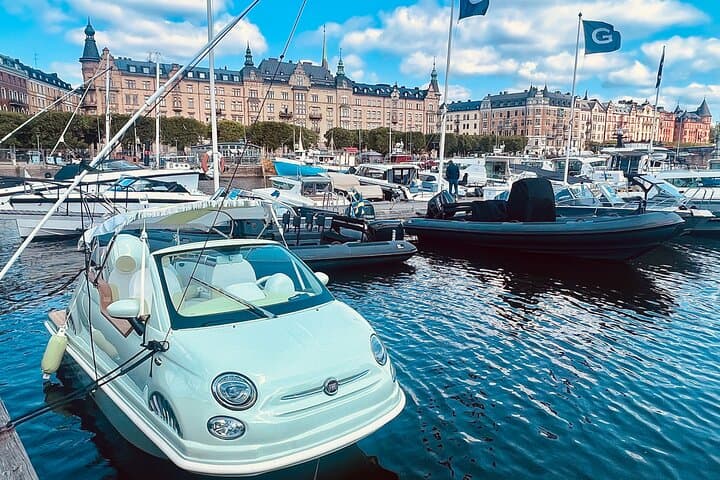 Private Stockholm Luxury Car Adventure City Tour with Guide