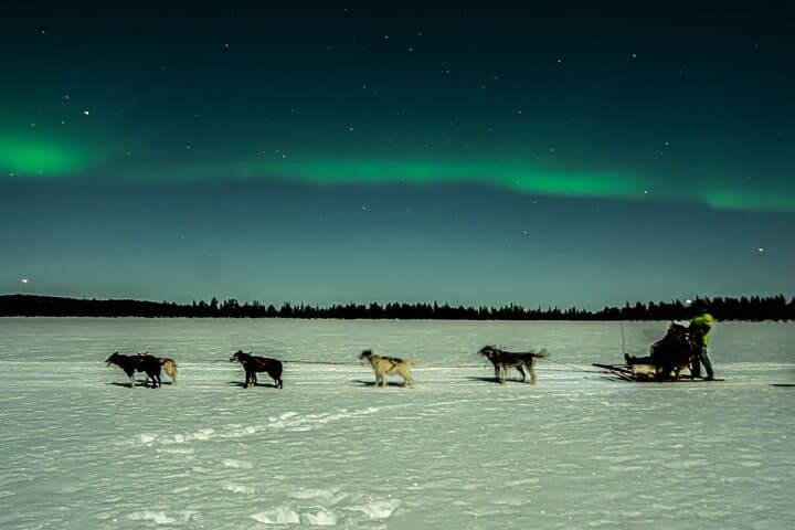 Dog Sledding under Northern Lights