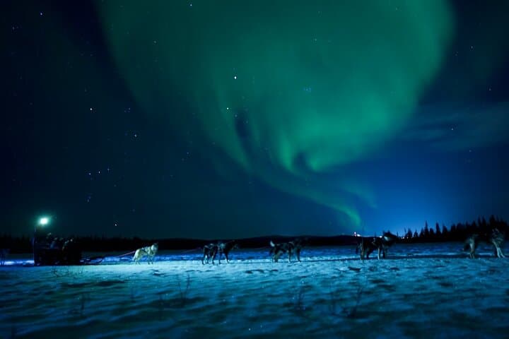 Dog Sledding & massive Aurora