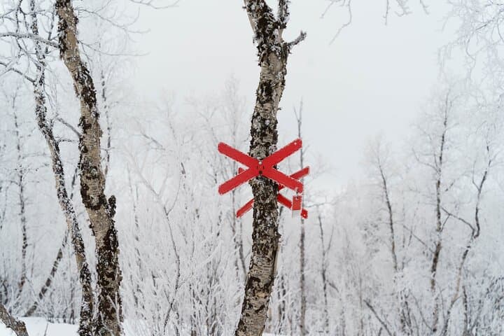 Snowmobile Tour in Kiruna