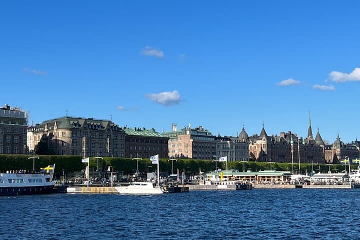 Private Tour Stockholm with local Guide by Luxury Car