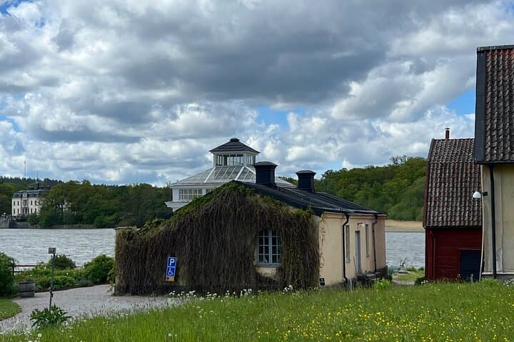 Gripsholm and Drottningholm Palace VIP Castle Tour in Luxury Car