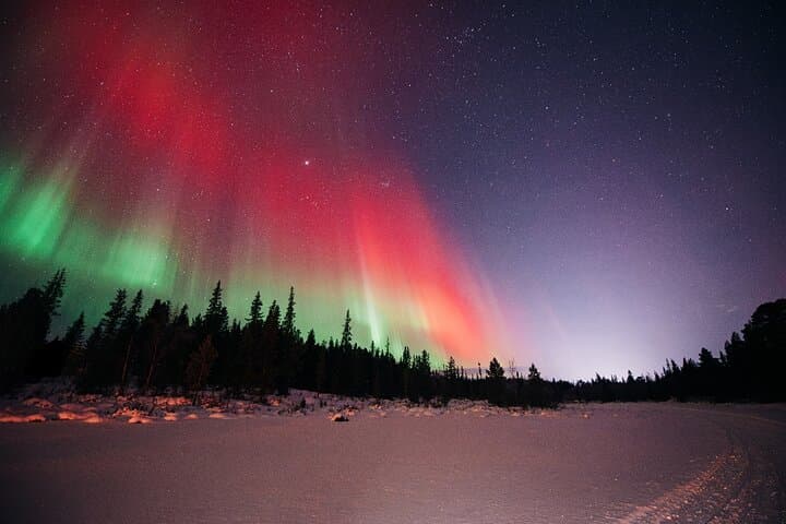 Kiruna: Northern Lights Tour with Sami BBQ Dinner