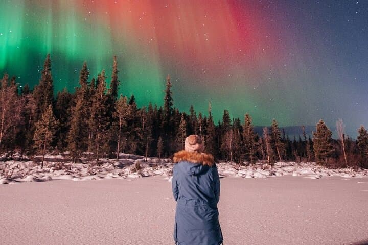 Kiruna: Northern Lights Tour with Sami BBQ Dinner