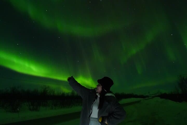 Northern Light Minibus Hunt to Abisko National Park