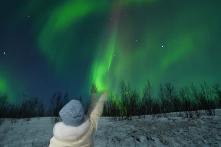 Northern Light Minibus Hunt to Abisko National Park