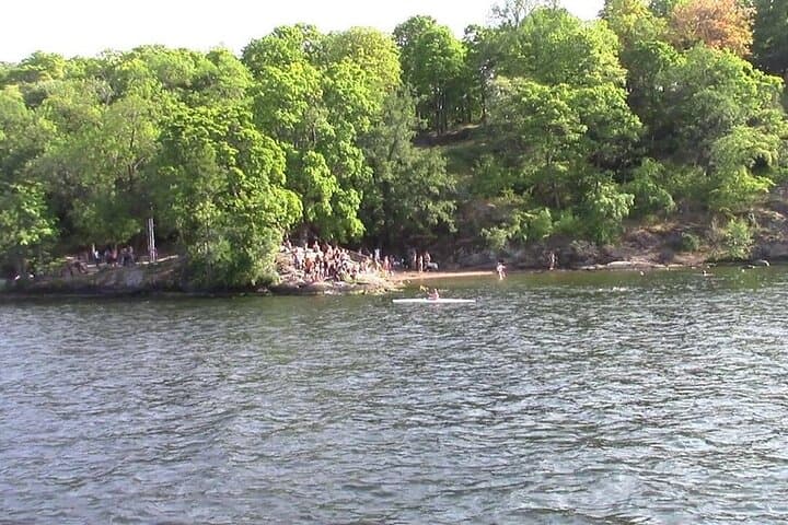10 Hours Lake Mälaren Villages Day Trip from Stockholm
