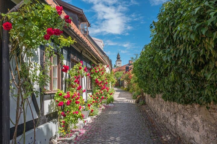 Private Walking Tour in Visby: Historic Town Wall & Museum