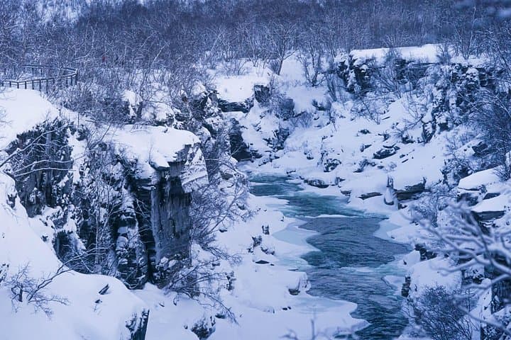 From Kiruna: Explore Abisko by Day