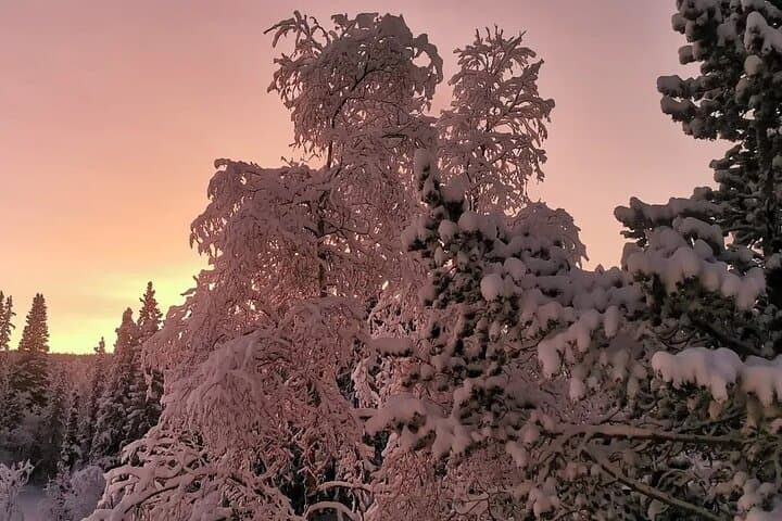 Snowmobile Adventure in Lapland: Guided Tour from Kiruna