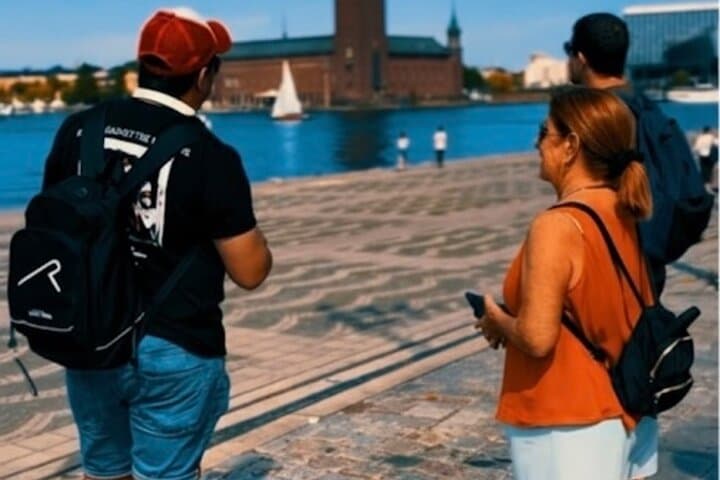 Stockholm: 2h Old Town Tour + 1h Silent Electric Boat Cruise