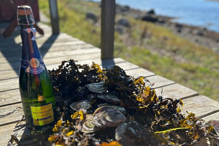 Oyster Tour Grebbestad Archipelago