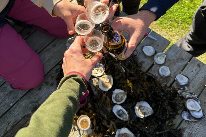 Oyster Tour Grebbestad Archipelago