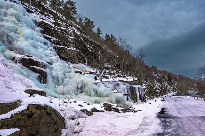 From Abisko to Narvik: Arctic Scenic Tour with Fjord Landscapes