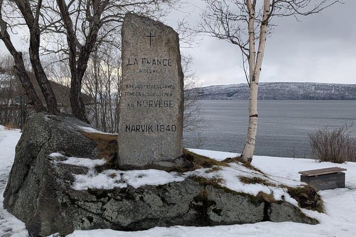 From Abisko to Narvik: Arctic Scenic Tour with Fjord Landscapes
