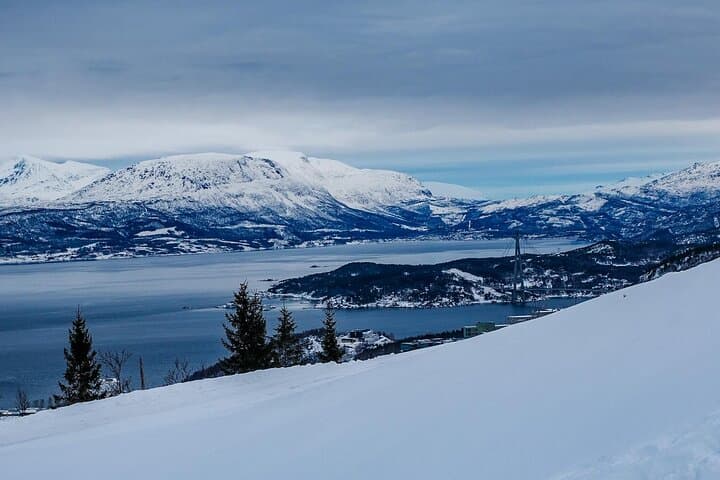 From Abisko to Narvik: Arctic Scenic Tour with Fjord Landscapes