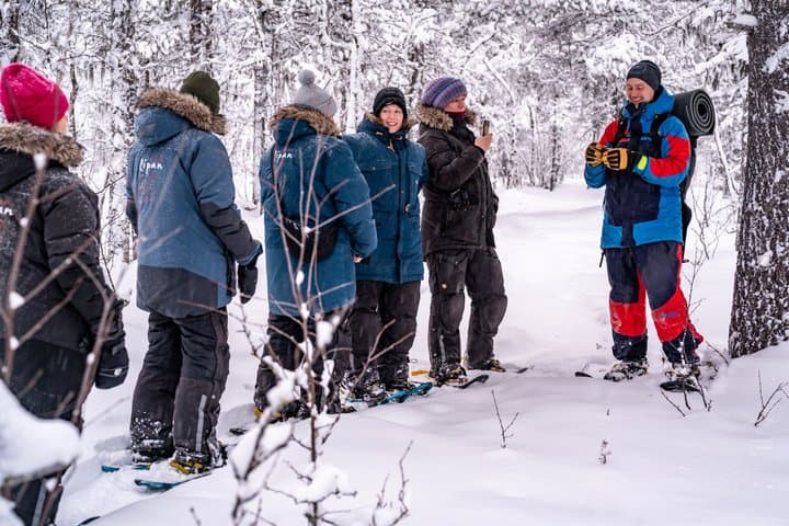 Snowshoe in a Winter Forest