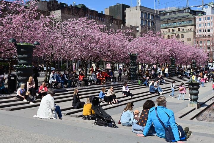 Stockholm Highlights VIP tour by private coach/bus and guide