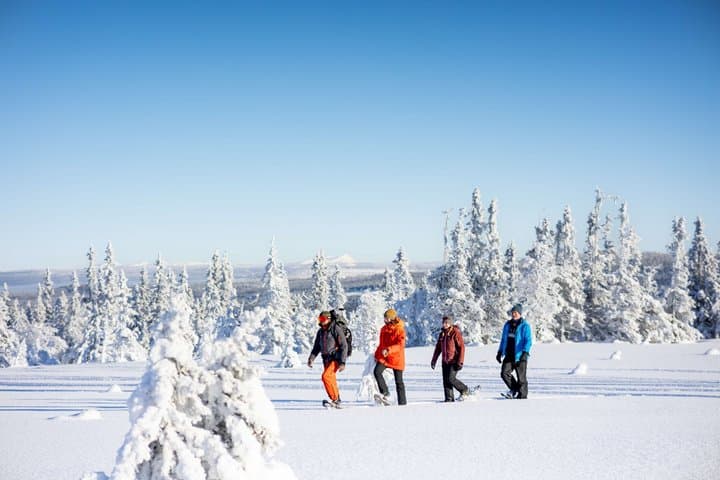 Snowshoe tour Ansättenfjäll Winter adventure in Sweden