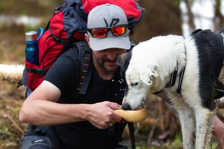Nordic Husky Adventure Huskytrekking at Ansättenfjäll