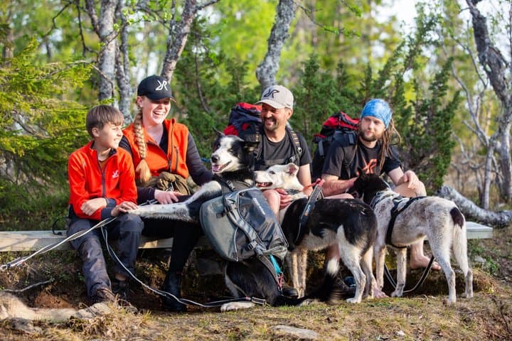 Nordic Husky Adventure Huskytrekking at Ansättenfjäll