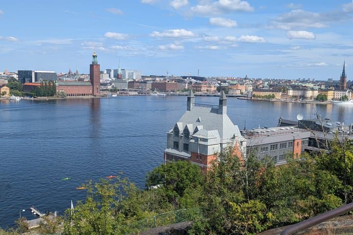 Stockholm Private Guided Tour by Car and Vasa Museum